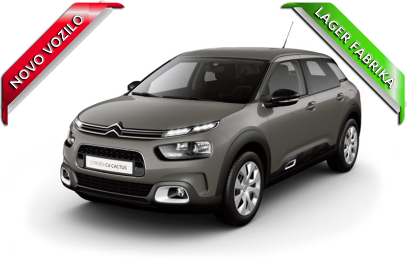 C4 Cactus Feel PureTech 110